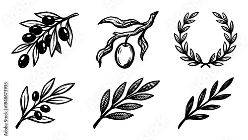 Set of hand-drawn sketch icons featuring various olive branches with leaves and fruits, including a classic olive wreath symbol.