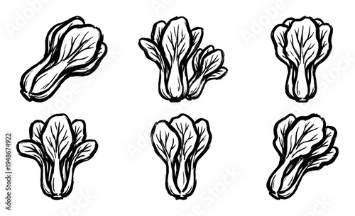 Hand-drawn black and white illustrations of fresh bok choy vegetables, showcasing various perspectives and organic shapes.