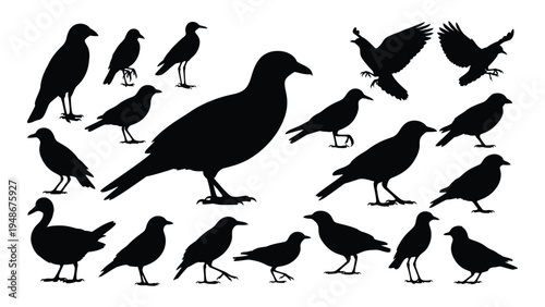 A visually striking composition of various bird silhouettes in different poses and sizes, showcasing their unique characteristics and features against a clean white background.