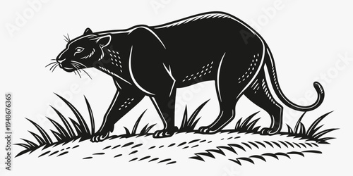 a black panther walking through grassy field Vector