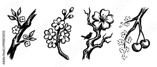 Set of hand-drawn ink illustrations depicting various floral branches with blossoms and cherries, showcasing a traditional artistic style.