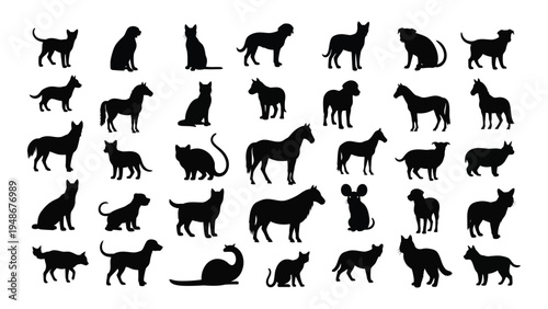 Collection of diverse dog breeds in silhouette form showcasing various shapes sizes and postures
