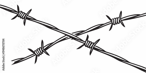 a crossed pair of barbed wire Vector