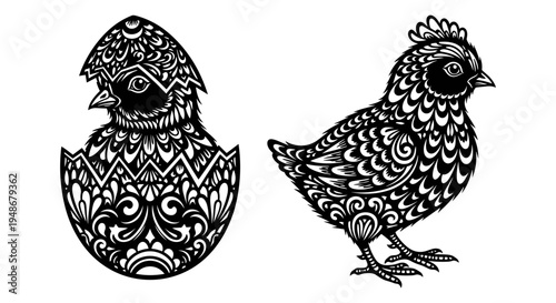 Set of 2 decorative chickens vector, hatching chick