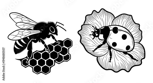 Set of 2 insect icons vector, bee, ladybug, honeycomb, flower