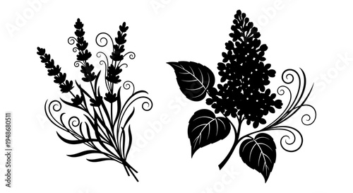 Set of 2 floral vector illustrations, black on white