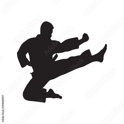 Silhouette of a Martial Arts on a white background.
