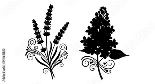 Set of 2 floral vector silhouettes