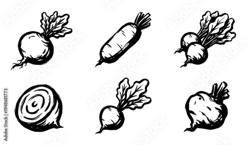 Set of hand-drawn black and white illustrations depicting various root vegetables with a rustic, organic style.