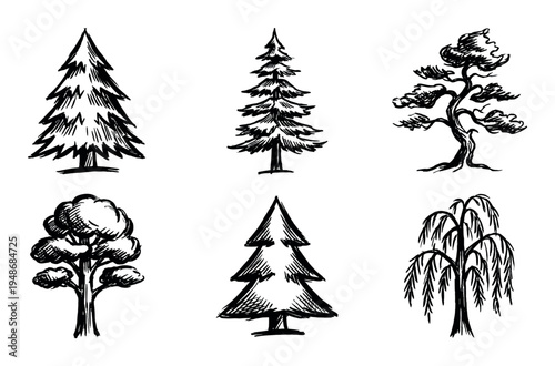 Collection of hand-drawn trees in a sketch art style, featuring diverse species like pine, deciduous, and weeping willow.