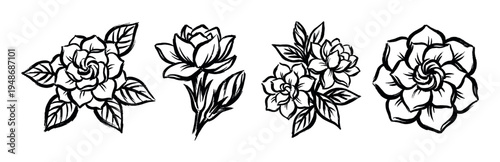 Stylized black and white brush stroke illustrations depict various blooming flowers with detailed petals and leaves.