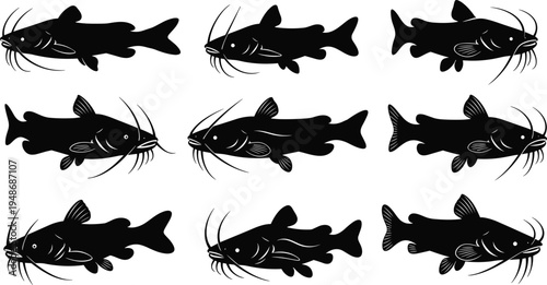 Silhouette illustration of nine catfish variations arranged in grid, showcasing fin shapes, whisker details, aquatic species artwork, fishing design, and marine life representation