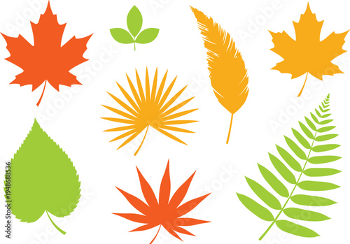 Collection of colorful leaves and feathers