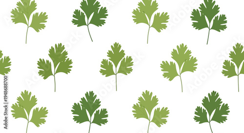 Set of parsley leaves vector