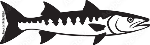 Vector illustration of a fish with fins and tail swimming  isolated on transparent background