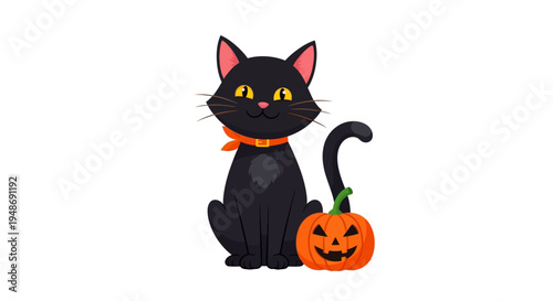 Black cat with orange collar Halloween.