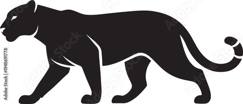 Black panther walking to the left side profile view