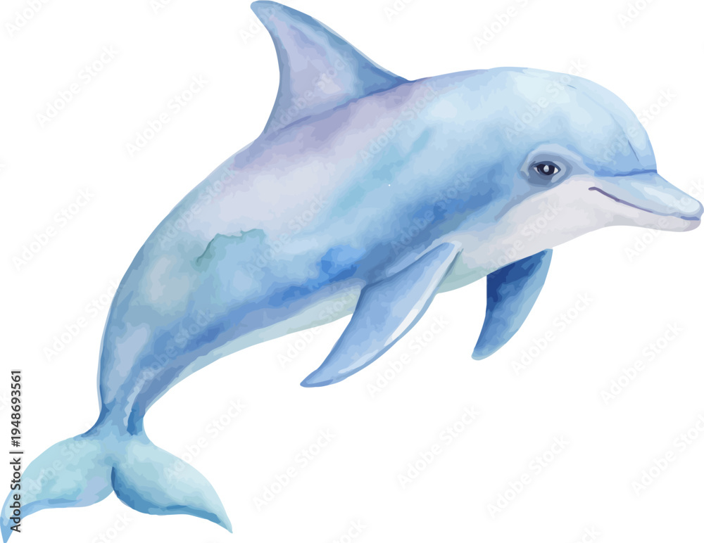 Fototapeta premium Watercolor Dolphin Illustration, Ocean Animal Art, isolated on white background
