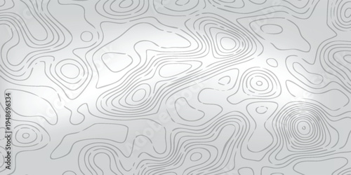 Minimal geographic relief illustration, pale gray surface with smooth white isoline curves representing terrain levels.