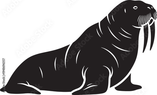 Black walrus sitting on ice looking to the right side