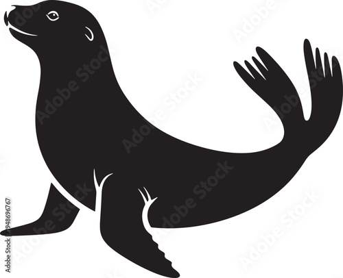 Seal animal mammal sea lion marine life ocean creature aquatic  mammal