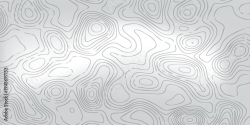 Abstract relief map texture, delicate white topographic curves across pale gray field, modern minimal vector composition.