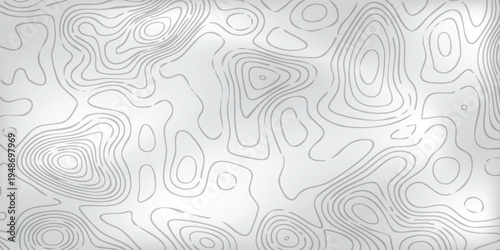 Abstract geographic elevation pattern, thin white terrain paths weaving across light gray surface, modern vector illustration.