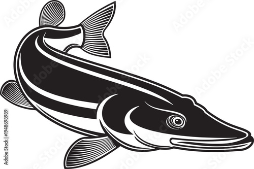 Black and white illustration of a predatory pike fish swimming, showcasing sleek body
