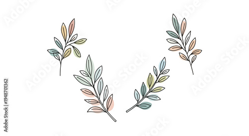Minimalist Botanical Branch Illustrations with Pastel Colors