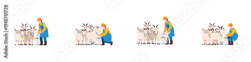 Farmer milking goats in a row