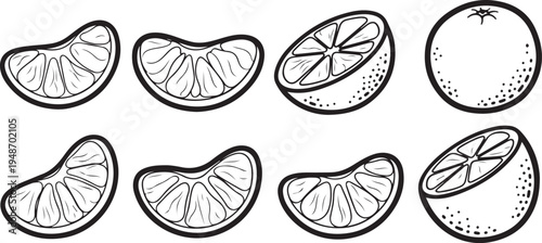 A collection of sliced citrus fruits illustrated in a minimalist art style Vector