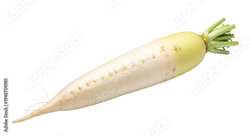 White radish root vegetable with leaves.