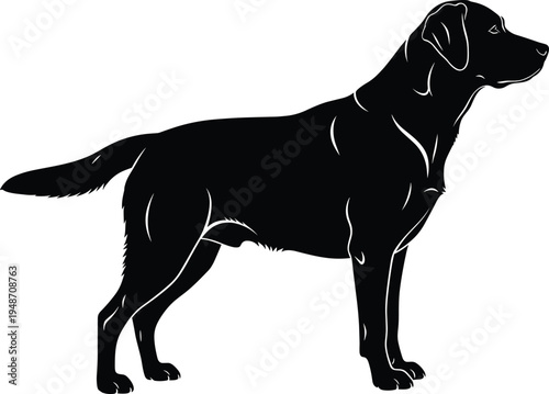 Labrador retriever dog silhouette, standing pet animal vector illustration, domestic canine breed profile icon isolated on white background