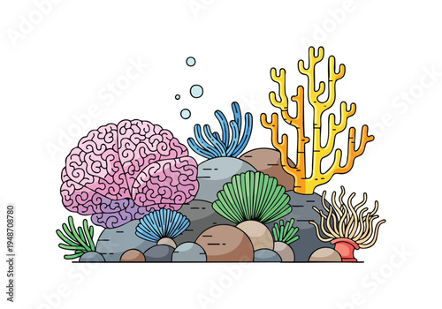 Vibrant Underwater Coral Reef Ecosystem with Diverse Marine Life and Rocky Seabed
