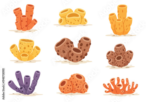 Collection of Various Types of Sponges in Different Colors and Shapes