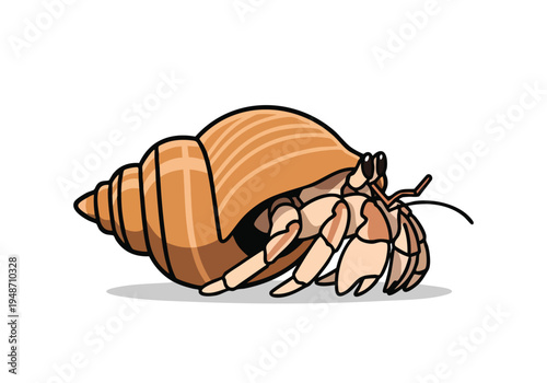 Hermit Crab Illustration Showing Its Shell and Claws on a White Background