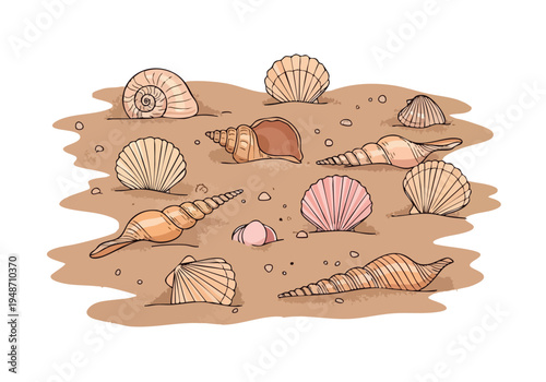 A delightful collection of various seashells scattered across a sandy beach, evoking a sense of coastal charm and seaside exploration