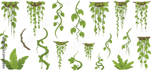 Hanging Vine and Creeper Plant Vector Set Featuring Tropical Climbing Plants, Leaves, and Jungle Foliage for Nature Illustration, Garden Design, and Botanical Graphics