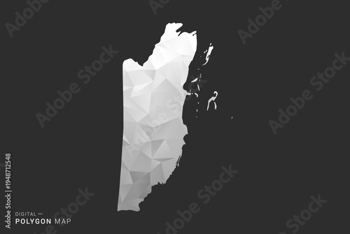 Belize Map - Polygon style vector illustration in black, gray and white low poly geometric design, minimal silhouette, isolated for infographic.
