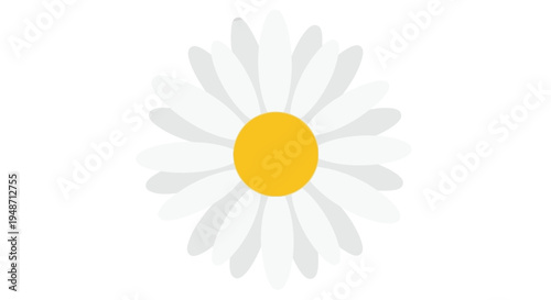 Simple illustration of a white daisy flower with a bright yellow center