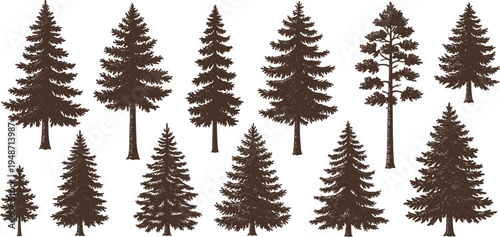 Pine Tree Silhouette Vector Set Featuring Evergreen Conifer Forest Trees for Nature Landscape Design, Woodland Illustration, Christmas Graphics, and Outdoor Botanical Projects