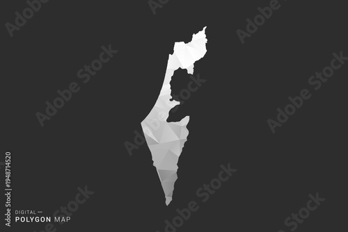 Palestine Map - Polygon style vector illustration in black, gray and white low poly geometric design, minimal silhouette, isolated for infographic.