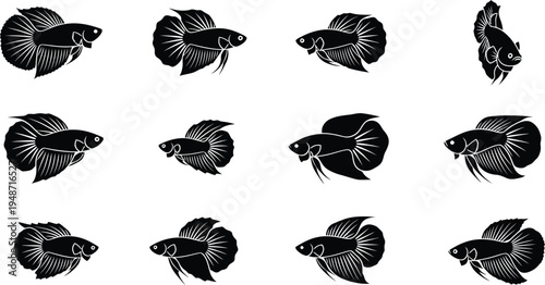 Black and white betta fish silhouettes aquatic
