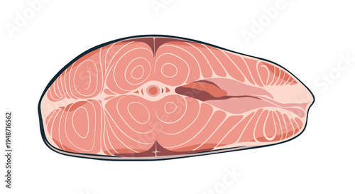 Fresh slice of raw salmon fish steak shows its natural orange color and white fatty marbling texture.