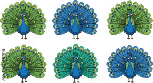 Colorful peacock illustration set with fully spread feathers in green and blue variations, decorative exotic bird collection isolated on white background for design