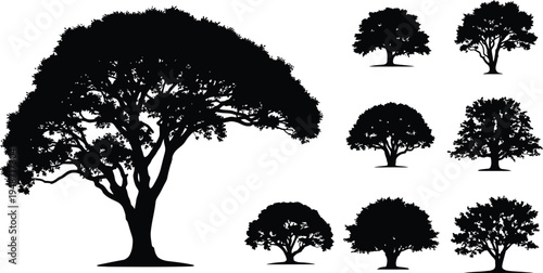 Black silhouettes of trees on white background 3