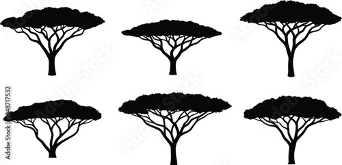 Black silhouettes of trees with bushy tops on white background
