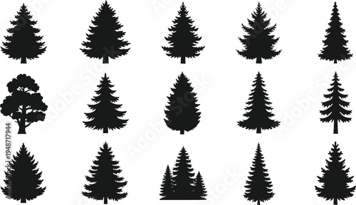 Black silhouettes of various pine and fir trees on white background