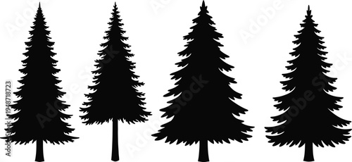 Four black pine tree silhouettes on white background pine trees black trees evergreen trees