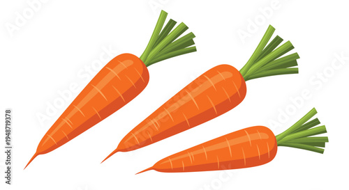 Three fresh orange carrots with green leafy tops arranged diagonally across a white background for healthy food themes.